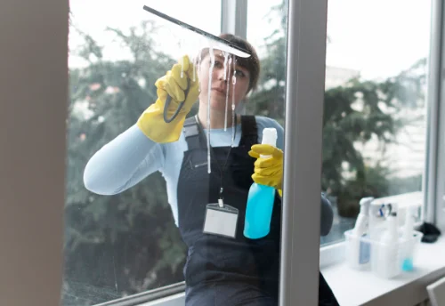 Nettoyage de vitres intérieures et extérieures à Lavignac